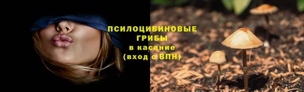 твердый Ростов