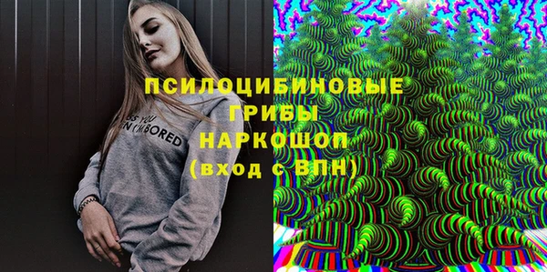 2c-b Рославль