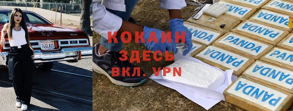 твердый Ростов